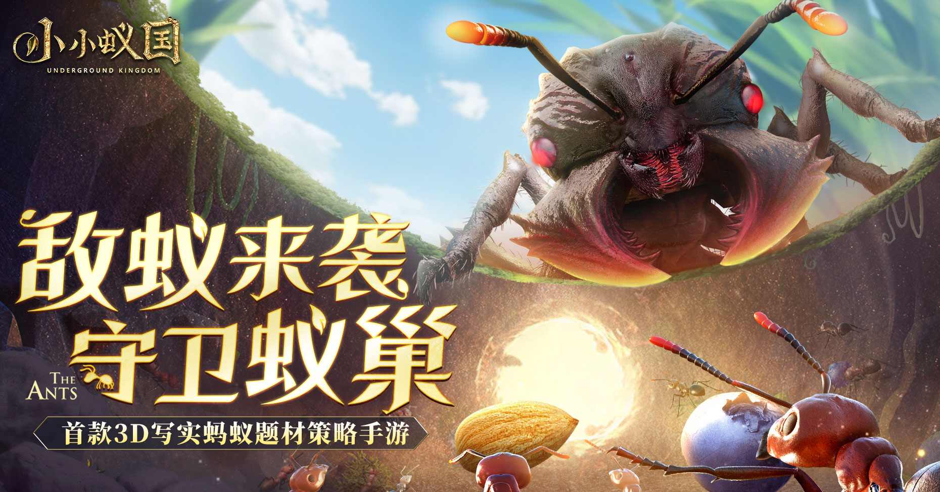 小小蚁国